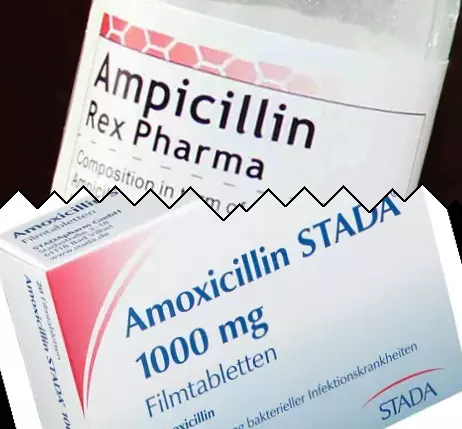 Ampisilin vs Amoksisilin