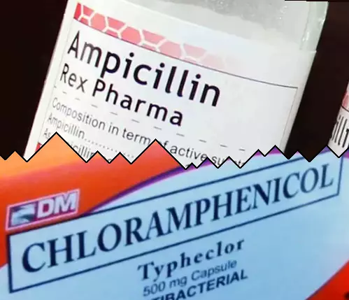 Ampisilin vs Kloramfenikol