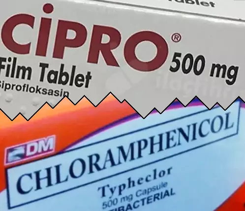 Cipro vs Kloramfenikol