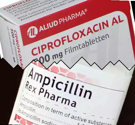 Ciprofloxacin vs Ampisilin